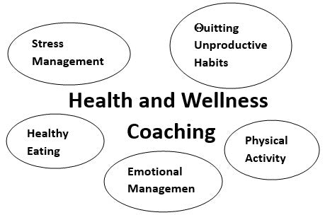 Life or Wellness Coaching Session - 90 Minutes